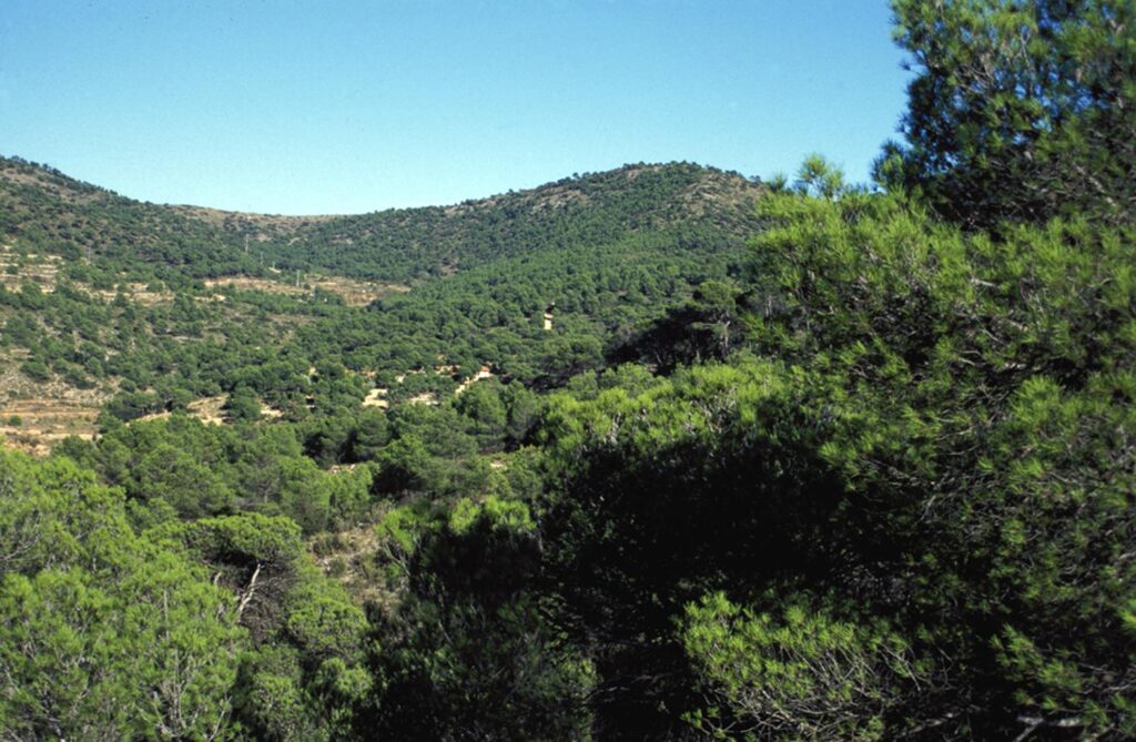Imagen de Monte Coto