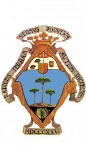 Ajuntament del Pinós